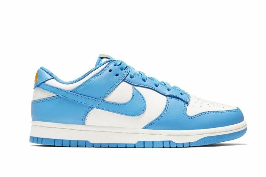 Nike Dunk Low Coast Blue DD1503-100