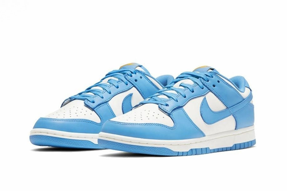 Nike Dunk Low Coast Blue DD1503-100
