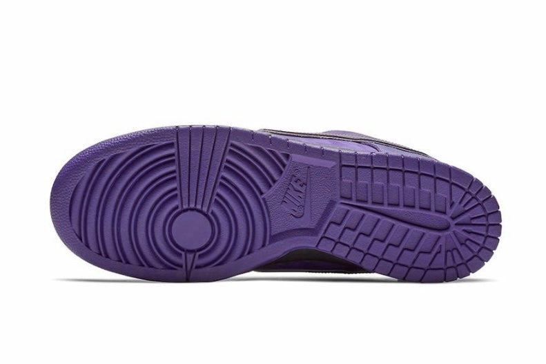 Nike SB Dunk Low Concepts Purple Lobster BV1310-555